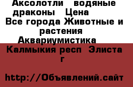 Аксолотли / водяные драконы › Цена ­ 500 - Все города Животные и растения » Аквариумистика   . Калмыкия респ.,Элиста г.